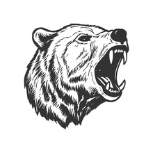 Bear Head Logo. Grizzly Icon. Vector Illustration.