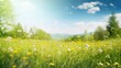 © Eli Berr - Beautiful meadow field with fresh grass and yellow dandelion flowers in nature against a blurry blue sky with clouds. Summer spring perfect natural landscape