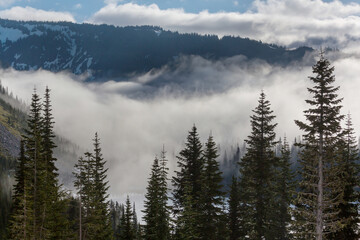 Sticker - Fog in mountains