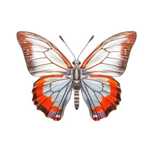 Gray Hairstreak Butterfly -  Strymon Spp. Transparent PNG. 1. Transparent PNG. Generative AI