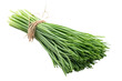 A bunch of ready to cook chives on a transparent/white background. Generative AI