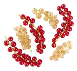 Grappe de groseilles rouges et blanches
