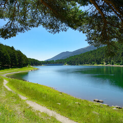 Wall Mural - Beautiful lake and mountains covered with forest.