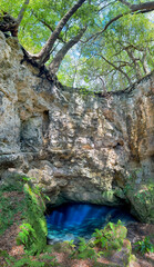 Jewel's Sink, Alachua County, Florida