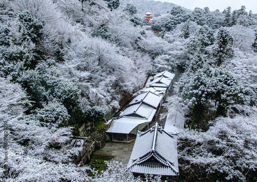 清水寺　雪景色　額入り 清水寺 雪
