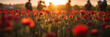 Defocused people on the trip on poppy field with flowers at the sunset. AI generative illustration.