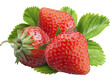 strawberries isolated png