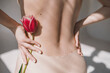 Gynecology, menstruation, concept of woman genital health. Gynecology concept. Young woman holds tulip near bikini zone. Gynecology and underwear, women health. innocence and loss of virginity