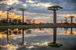 Leinwandbild Motiv Beautiful Baobab trees at sunset at the avenue of the baobabs in Madagascar