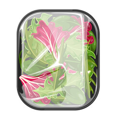 Sticker - lettuce salad mix in plastic tray vector illustration. Cartoon isolated green and red healthy leafy vegetable in pack, natural organic salad leaf collection in container with clear cellophane wrap