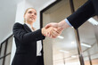 © เลิศลักษณ์ ทิพชัย - business woman shaking hands in the office end of a successful meeting handshaking after a good deal