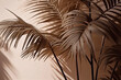 Floral background of palm leaves with shadow illustration for a creative project. Generative AI