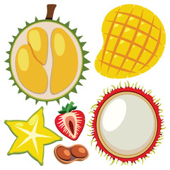 Sticker - A collection of different fruits