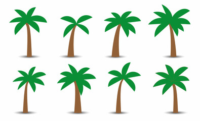 Palm trees with shadow isolated on white. Vector illustration