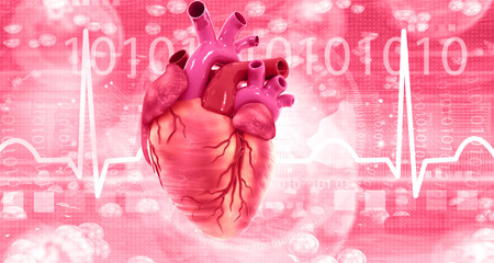 Wall Mural - Human heart anatomy on modern scientific background. 3d illustration