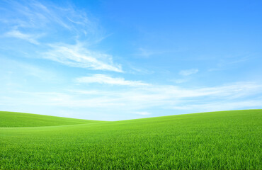 Landscape view of green grass field with blue skybackground.