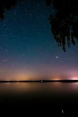 Wall Mural - Vertical shot of the beautiful starry sky.
