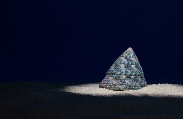 spiral shell on the beach in stage light, creative art design
