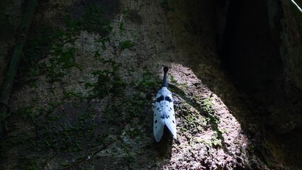 Wall Mural - The Lanternflies or Pyrops clavatus rare insect in Thailand and Southeast-Asia.