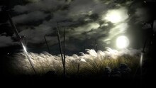 3D Render Of A Full Moon Casting Its Light On Swords Staked On A Swamp Foxtail Field