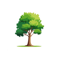 Set of flat stylized trees. Natural vector illustration. Side view