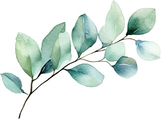 Wall Mural - beautiful watercolor leaves