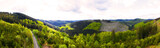 Fototapeta Na ścianę - forests of the sauerland germany in spring panorama