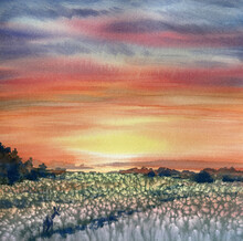 Red Summer Evening Sky And Flowering Meadow Watercolor Background