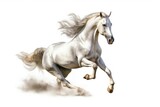 Fototapeta Konie - horse isolated on white