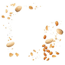 Scatter Peanut Isolated On Transparent Background Cutout , Generative Ai