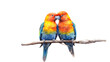 © Purple Penguin GFX - two Lovebirds sitting on a branch, colorful and beautiful, cuddling and friendly, Nature-themed, photorealistic illustrations in a PNG, cutout, and isolated. Generative AI