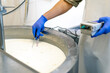 An employee measures the temperature of milk being pasteurized in a vat at a cheese factory using a professional device