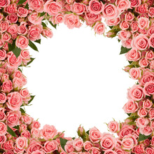 Rose Photo Frame Free Stock Photo - Public Domain Pictures