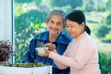 active senior couple spend free time take care cactus plant together at home,concept elderly pensioner people lifestyle,romantic  married couple, good family relationship