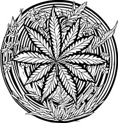 Poster - vector illustration of cannabis leaf