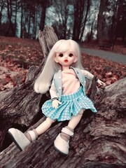 doll in the park posed on a tree trunk driftwood