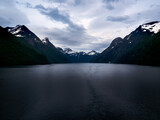 Fototapeta Tulipany - Fjords