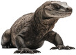 komodo dragon lizzard isolated on a white background as transparent PNG, generative AI animal