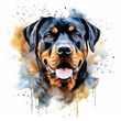 rottweiler watercolor clipart in white background Generative AI.