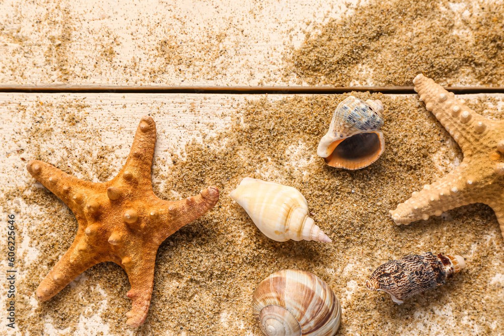 Seashells and starfishes with sand on white wooden background
