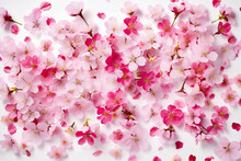 Pink Flower With White Petals And Pink Stamens, Generative Ai