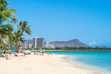 Wall Mural - scenery of honolulu in oahu island, hawaii, us