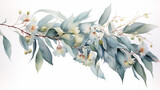 Fototapeta  - Watercolor eucalyptus watercolor floral