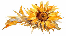 Watercolor Sunflower Golden Alcohol Ink On White Isolated. 