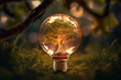 Glühbirne mit Baum die leuchtet , Hintergrund Wald, Light bulb with tree that glows, background forest,