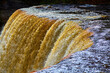 Rough, choppy waterfall at Tahquamenon Falls with raging brown murky waters