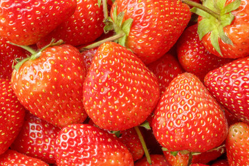 Canvas Print - Fresh organic red strawberry fruit background