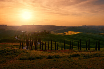 Wall Mural - Landscape in Tuscany, near the Siana and Pienza, Sunrise morning in Italy. Idyllic view on hilly meadow in Tuscany in beautiful morning light, Italy. Foggy morning in nature.