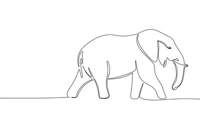 Wall Mural - Elephant isolated on white background. One line continuous animal art. Line art, outline, vector illustraiton.