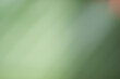 © robin - abstract background. blurred background color.